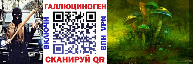 Псилоцибиновые грибы GOLDEN TEACHER  цена наркотик  Кубинка 