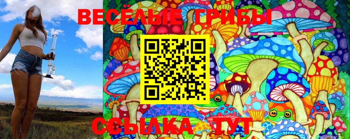 Кубинка  где купить   Вход с VPN  Галлюциногенные грибы Magic Shrooms 