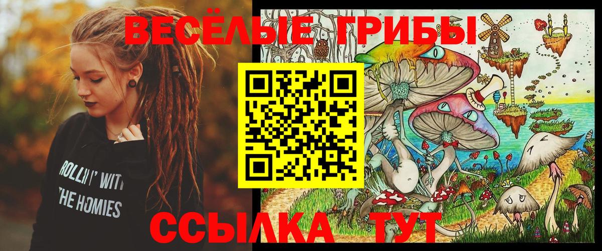 Псилоцибиновые грибы GOLDEN TEACHER  Кубинка 