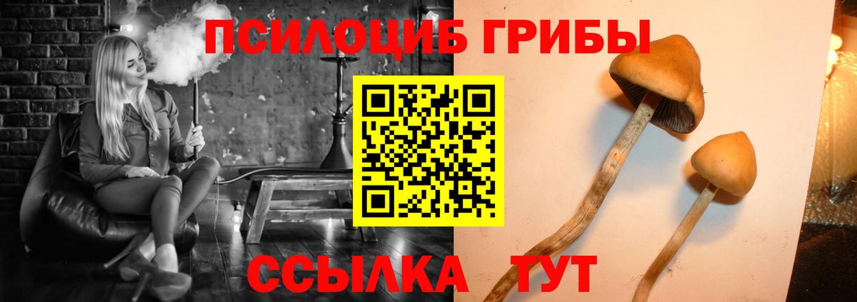 Галлюциногенные грибы мухоморы Кубинка