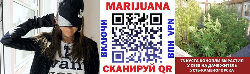 МАРИХУАНА конопля  omg маркетплейс  Кубинка 